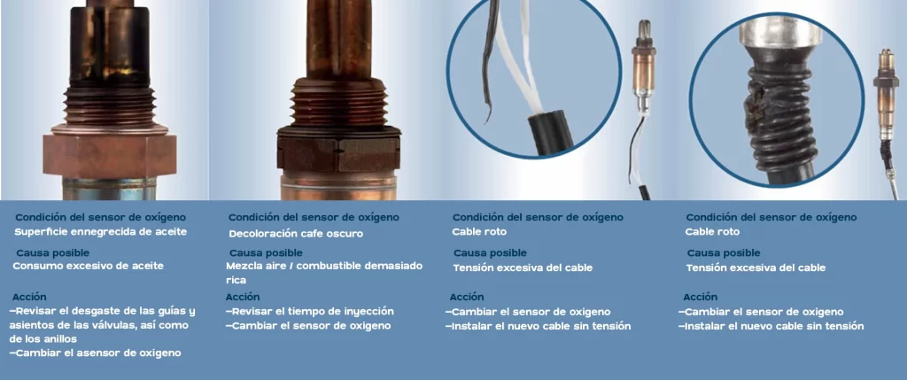 mantenimiento de sensores de oxígeno, 
mantenimiento al sensor de oxigeno, 
como darle mantenimiento al sensor de oxigeno, 
como trabaja un sensor de oxigeno, 
que falla da el sensor de oxigeno, 
como se checa un sensor de oxigeno, 
cómo hacerle mantenimiento al sensor de oxígeno, 
como revisar un sensor de oxigeno, 
como hacer mantenimiento al sensor de oxigeno, 
que funcion tiene un sensor de oxigeno, 
fallas comunes sensor de oxigeno, 
sensor de oxigeno explorer 2006, 
que sucede si desconecto el sensor de oxigeno, 
que funcion tienen los sensores de oxigeno, 
como se repara un sensor de oxigeno, 
ubicación de sensores de oxígeno, 
cuales son los sensores de oxigeno, 
sensores de oxigeno af, 
como revisar sensores de oxigeno, 
como checar los sensores de oxigeno, 
como trabaja el sensor de oxigeno, 
falla del sensor de oxígeno, 
fallas de un sensor de oxígeno, 
7 pruebas al sensor de oxigeno, 
