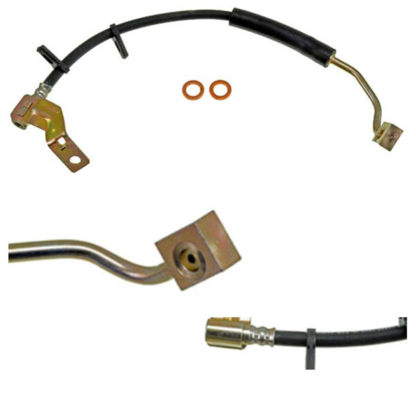 Manguera De Frenos Delantera Derecha > Do-H380556 Dorman